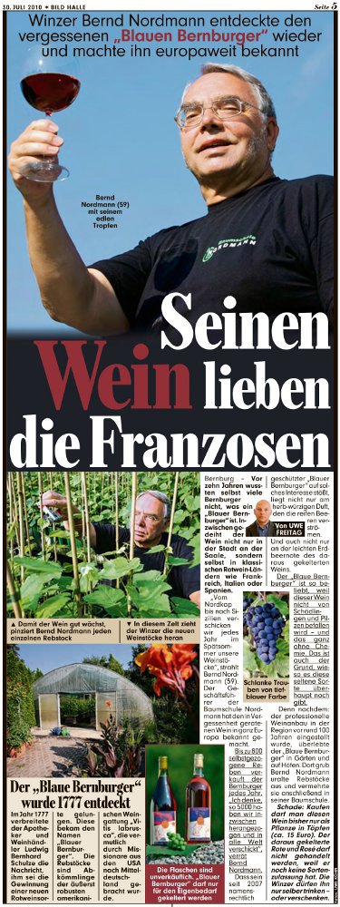 Pressebeitrag 'Bild Halle'